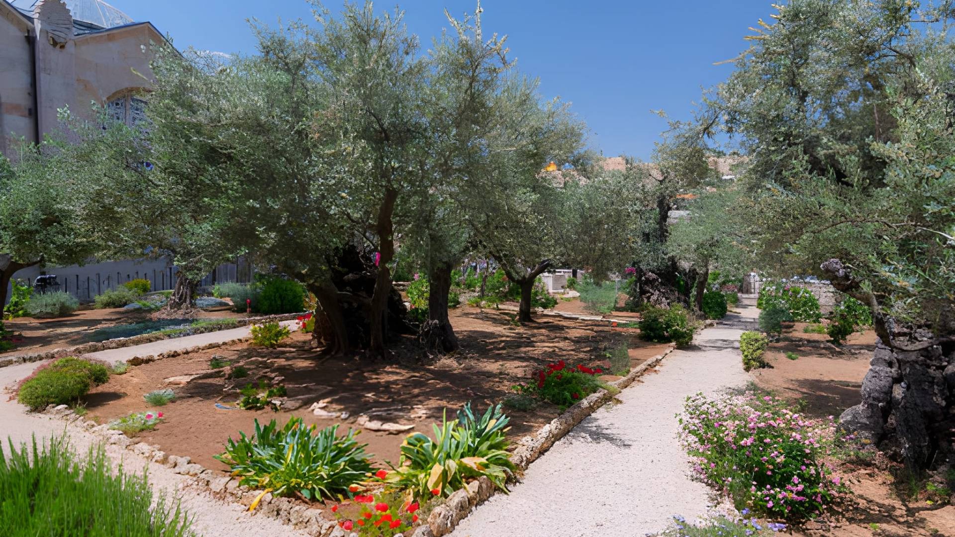 Garden of Gethsemane